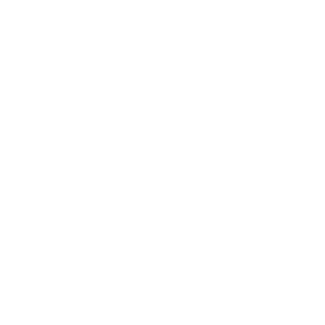 favicon white